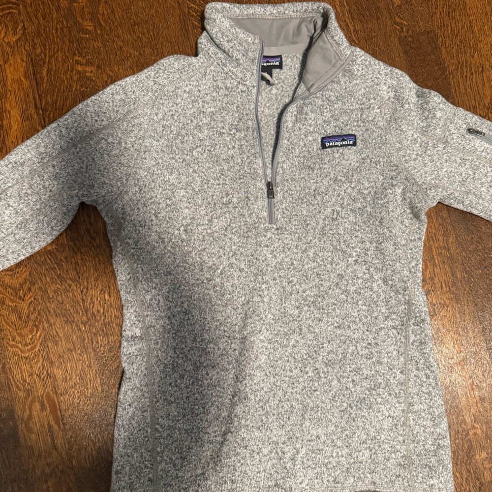 Patagonia Zip-Up Sweater in Light Gray